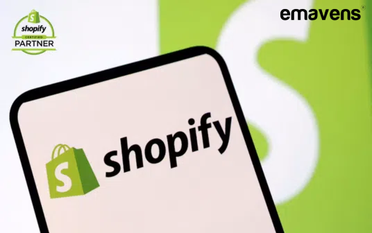 Customer-lifetime-value emavens.com
