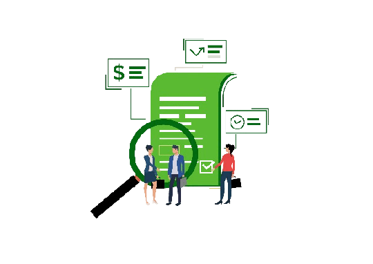 Compliance Auditing emavens.com