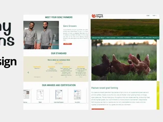 Case Study Earthy Origin Website Redesign