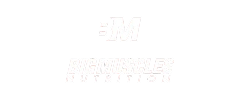 Bigmuscles client logo